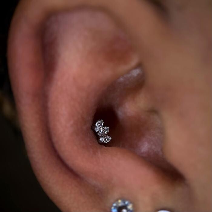 Images Club Tattoo | Planet Hollywood Las Vegas