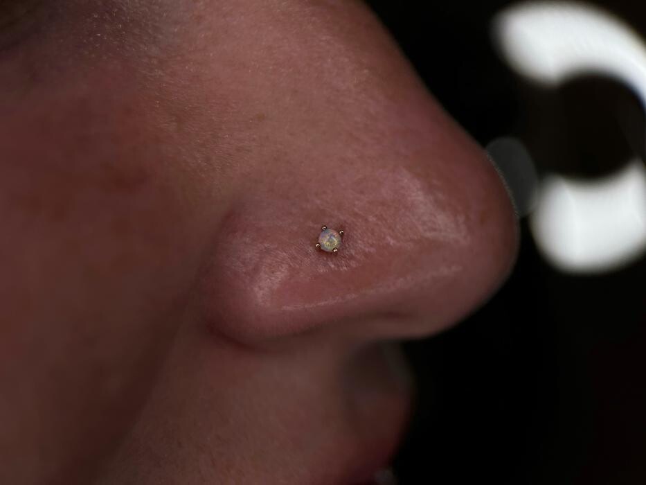 Images Club Tattoo | Planet Hollywood Las Vegas