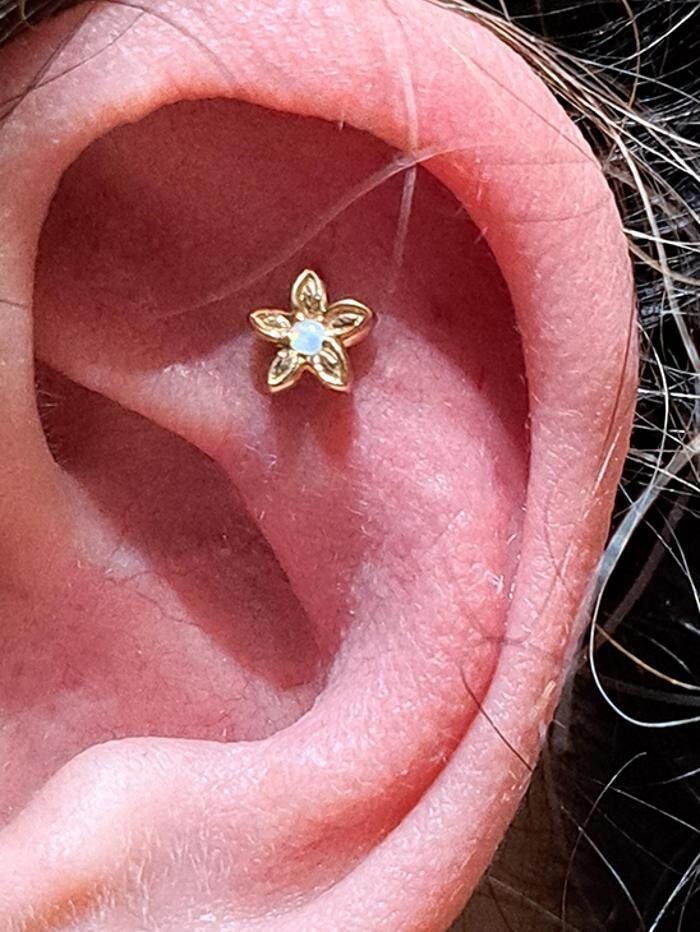 Images Club Tattoo | Planet Hollywood Las Vegas