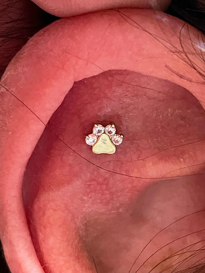 Images Club Tattoo | Planet Hollywood Las Vegas