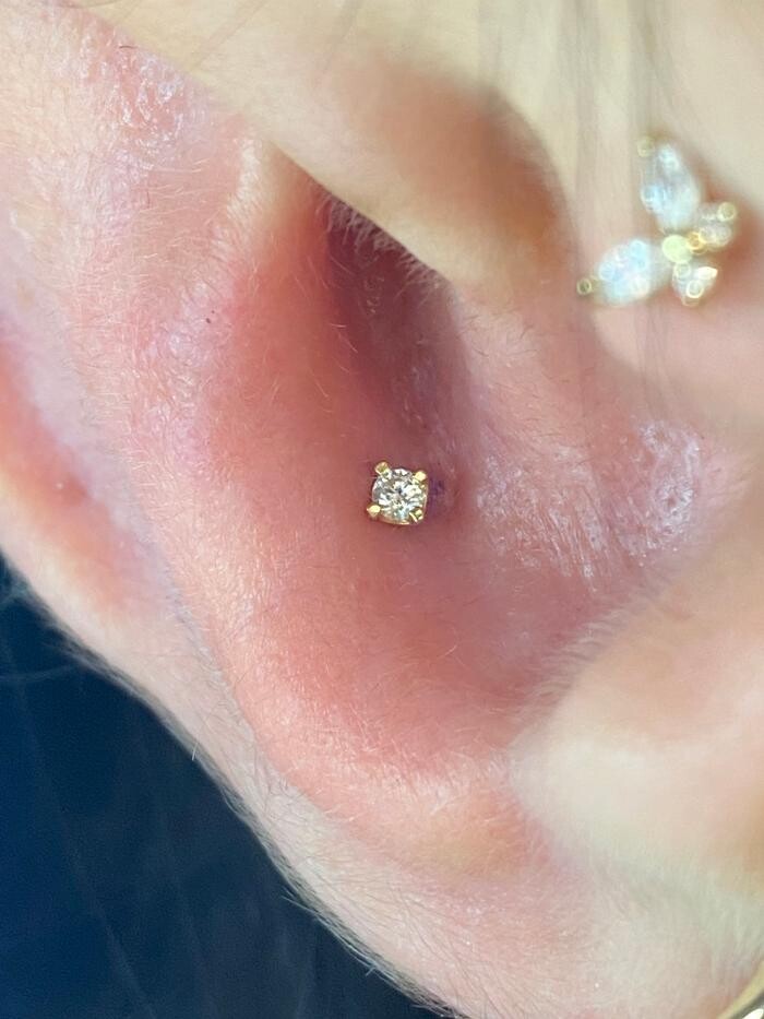 Images Club Tattoo | Planet Hollywood Las Vegas