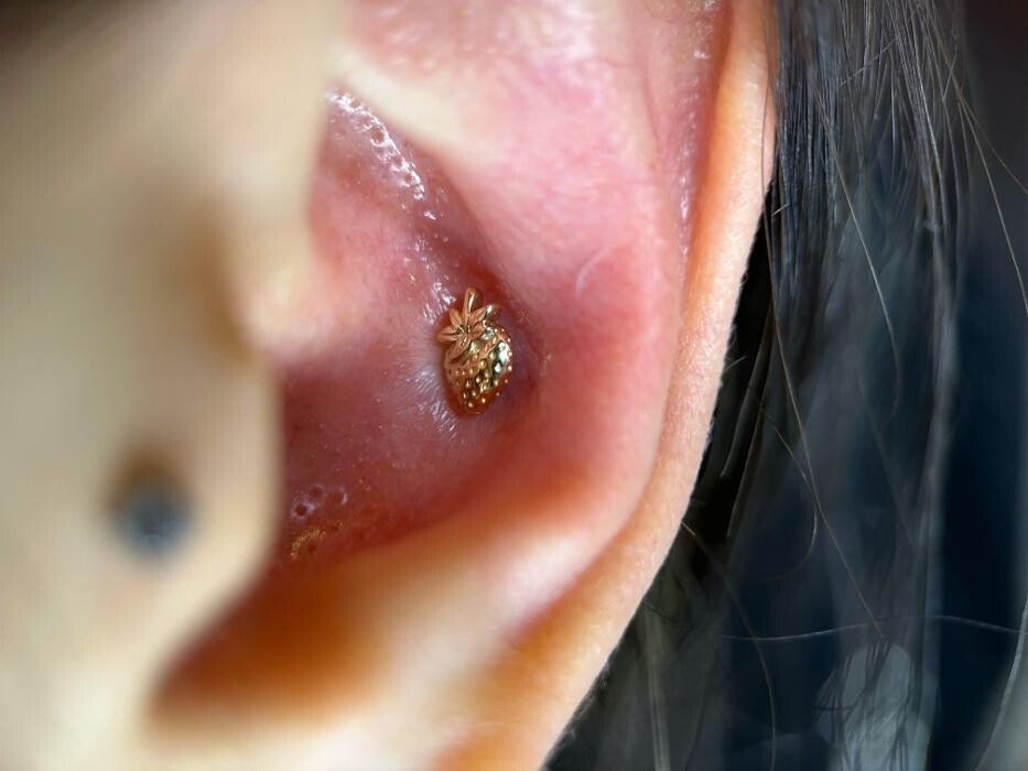 Images Club Tattoo | Planet Hollywood Las Vegas