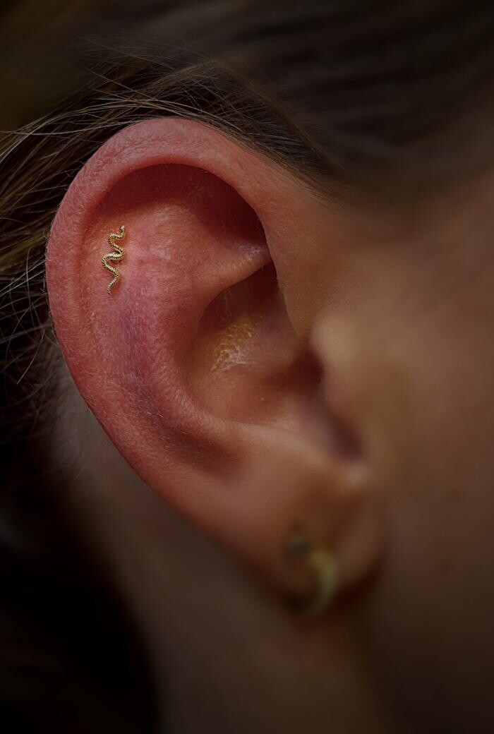 Images Club Tattoo | Planet Hollywood Las Vegas