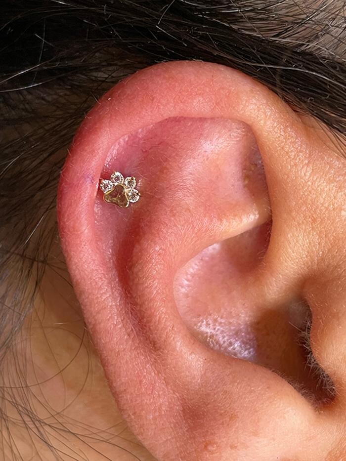 Images Club Tattoo | Planet Hollywood Las Vegas