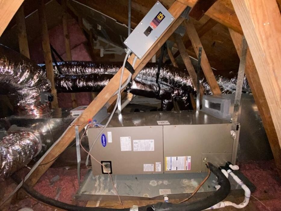 Images Berrett Pest Control