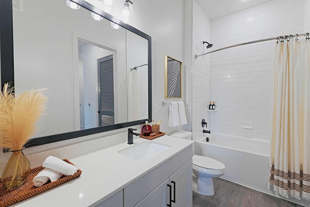 Images Alleia Watters Creek Apartments