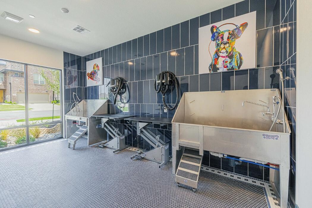 Images Alleia Watters Creek Apartments