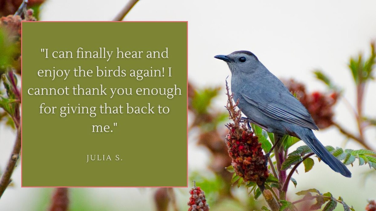 Images Dennison Hearing Solutions