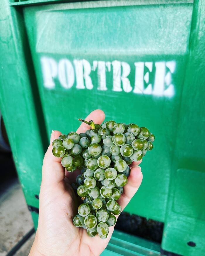 Images Portree Cellars