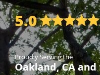 Website Screenshot Vega's Tree Service