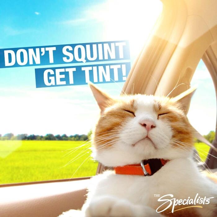 Images The Specialists Car Audio & Window Tint