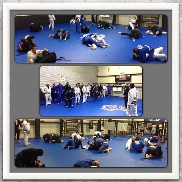Images Peak Performance MMA & BJJ