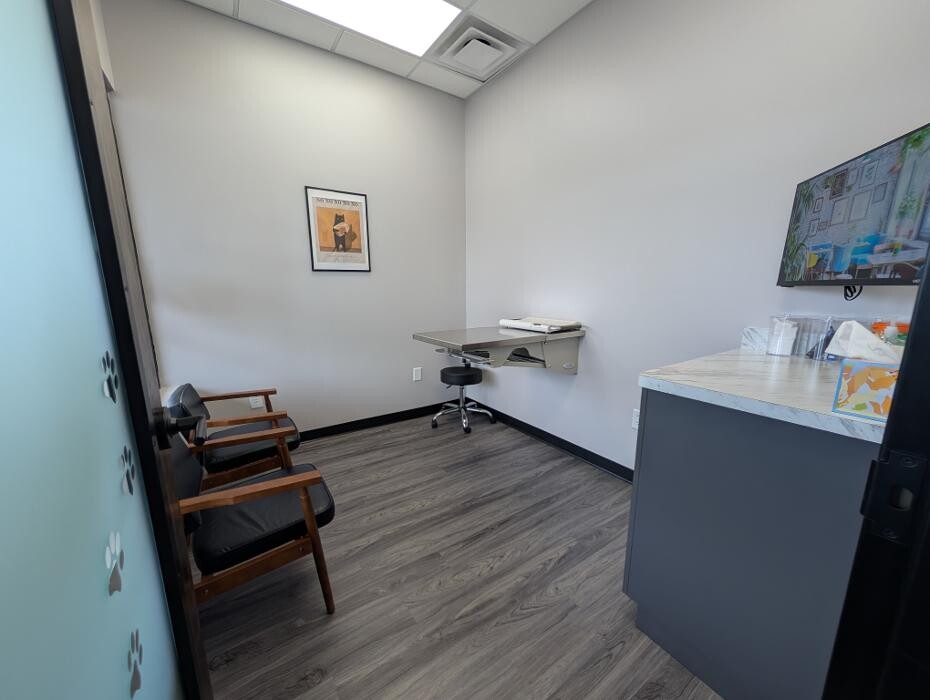 Images Wills Park Vet