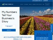 Website Screenshot Wiley Financial Services, Inc.