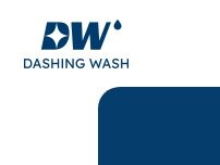 Website Screenshot Dashing Wash