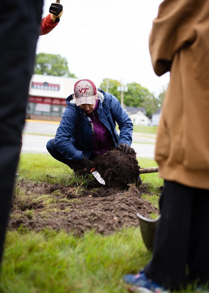 Images Eastern Tree Arboricultural Consulting, LLC