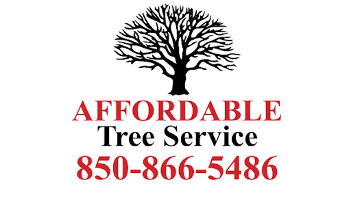 Images Affordable Tree Service and Landscape Company