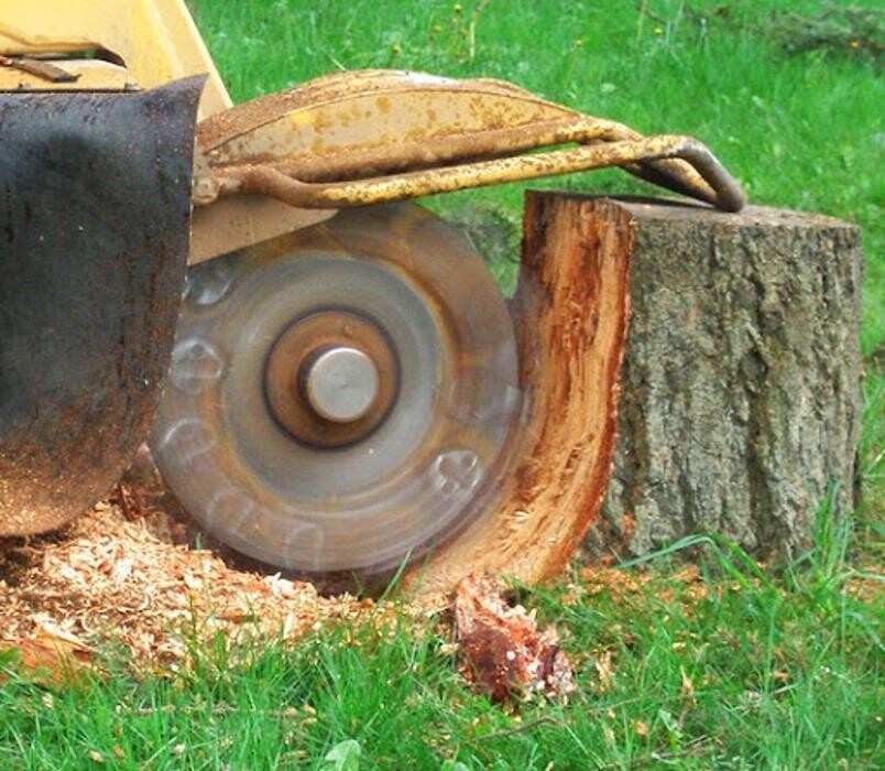 Images Affordable Tree Service and Landscape Company