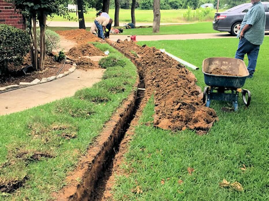 Images Affordable Tree Service and Landscape Company