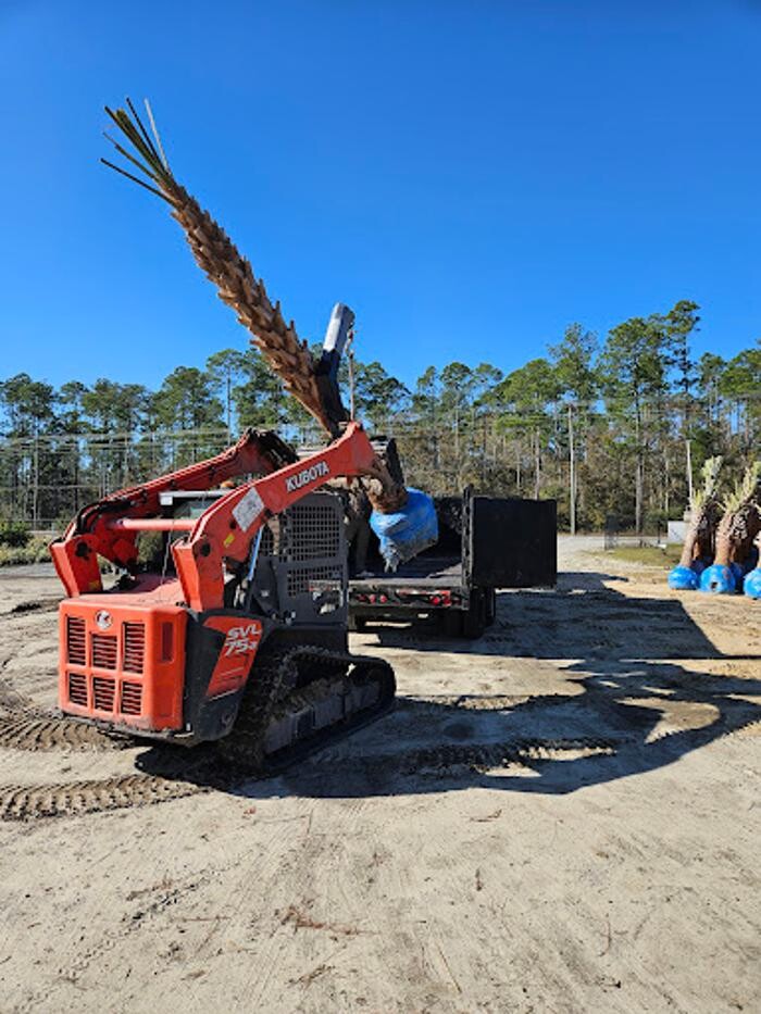 Images Affordable Tree Service and Landscape Company