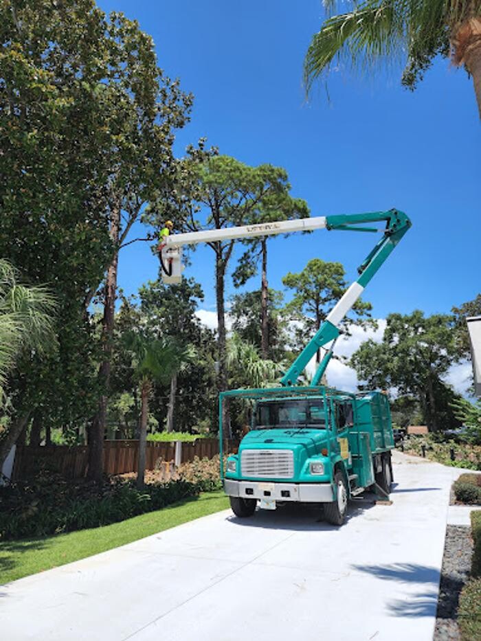 Images Affordable Tree Service and Landscape Company