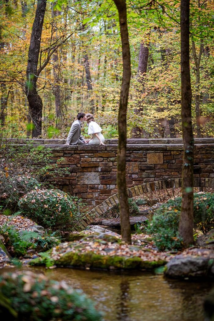 Images Michele McCoy Photography