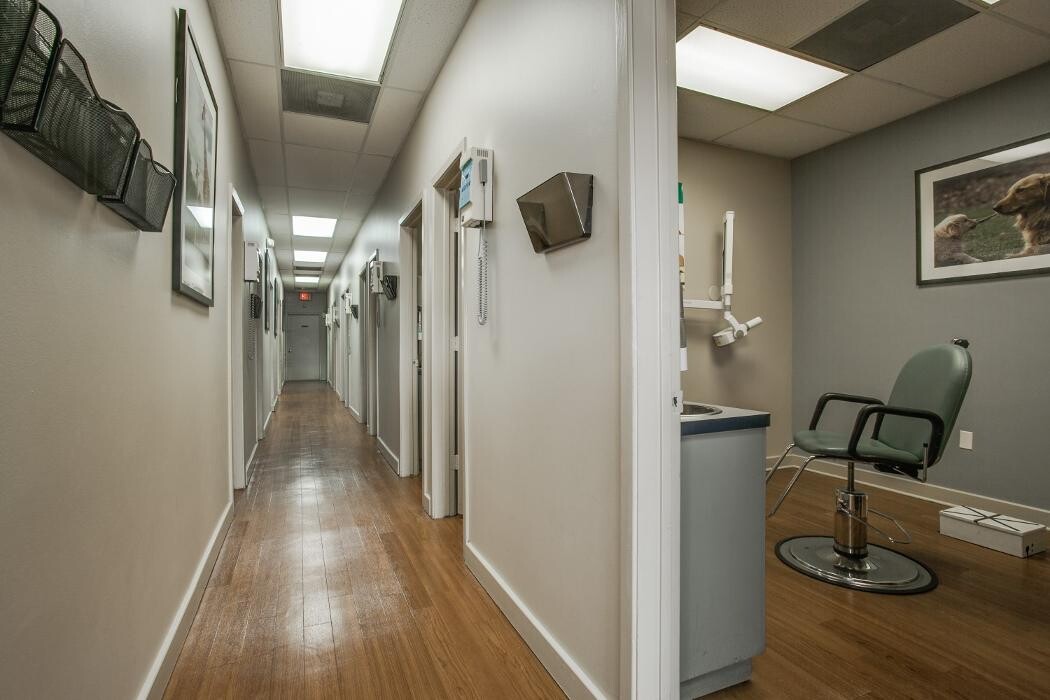 Images Brident Dental & Orthodontics