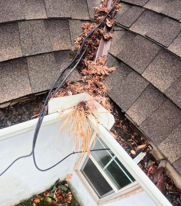 Images HomeSmiles Boise