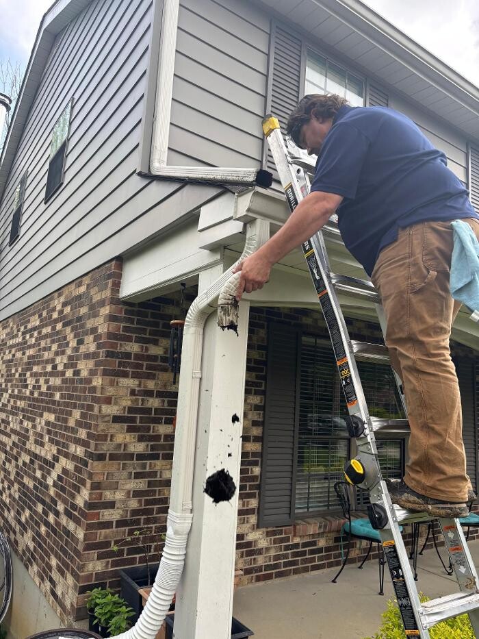 Images HomeSmiles Boise