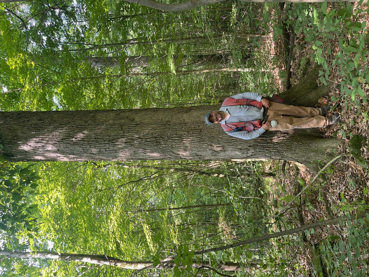 Images Clum-Daisher Forestry Consultants