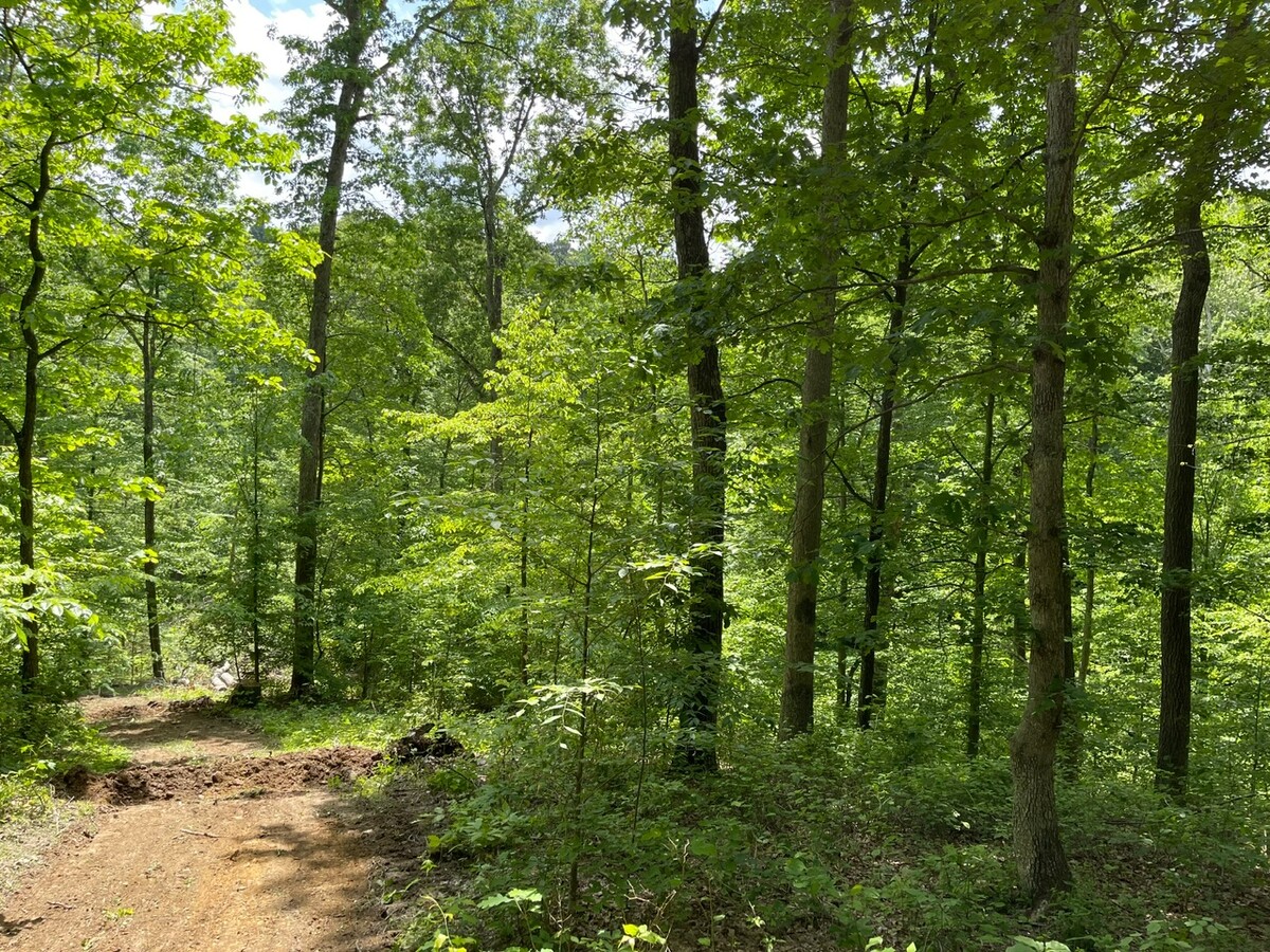 Images Clum-Daisher Forestry Consultants