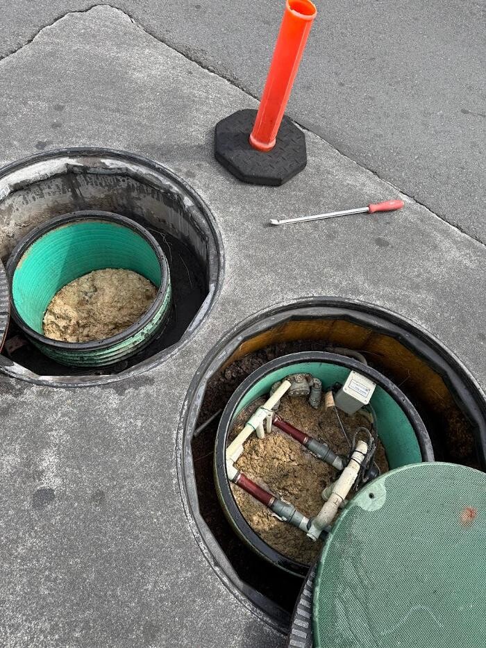 Images Rooter Man Hawaii