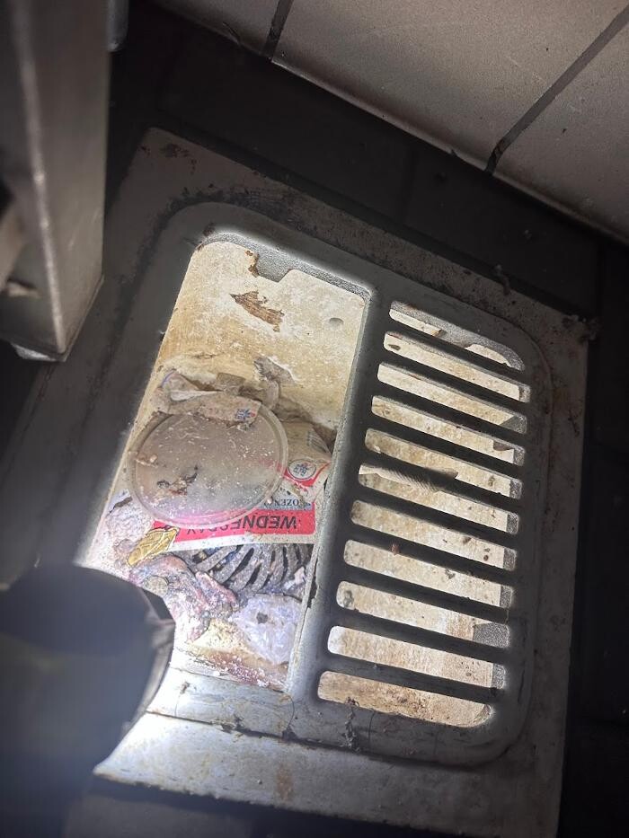 Images Rooter Man Hawaii