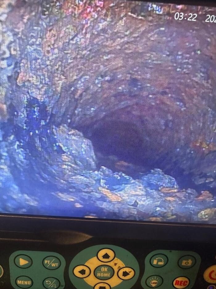 Images Rooter Man Hawaii