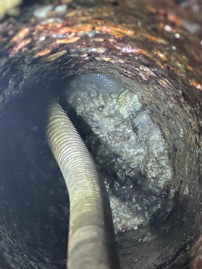 Images Rooter Man Hawaii