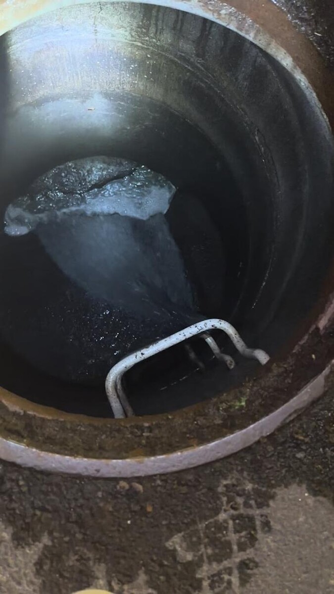 Images Rooter Man Hawaii