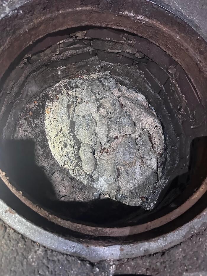 Images Rooter Man Hawaii