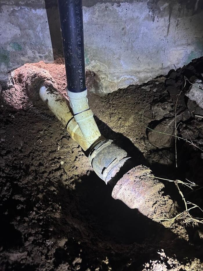 Images Rooter Man Hawaii