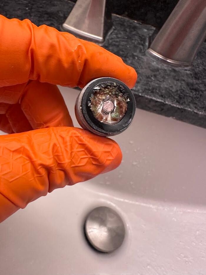 Images Rooter Man Hawaii