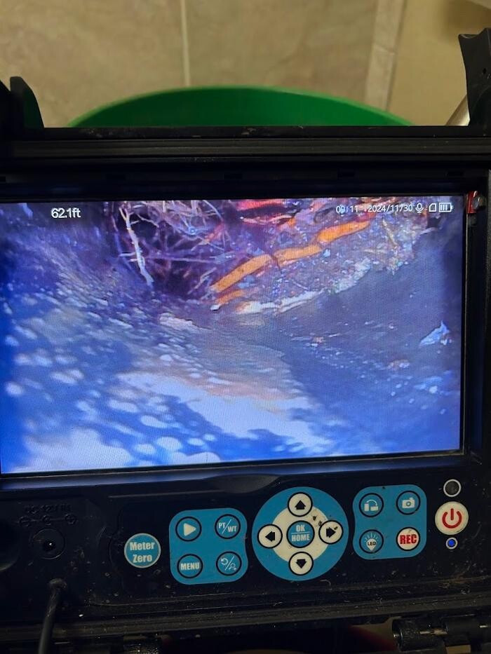 Images Rooter Man Hawaii