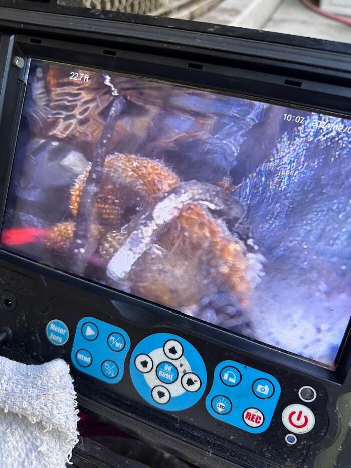 Images Rooter Man Hawaii