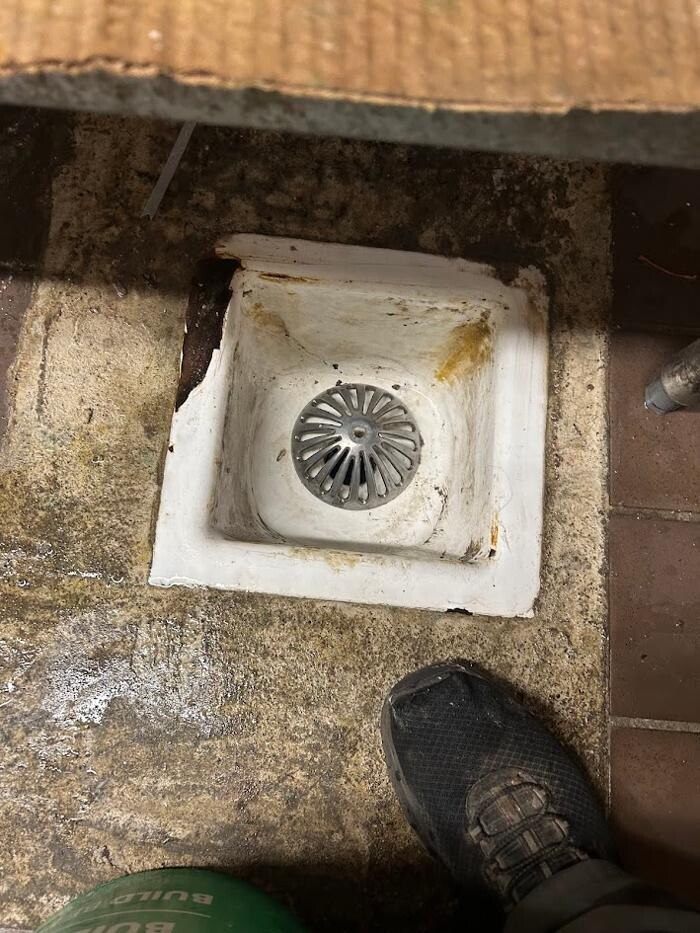 Images Rooter Man Hawaii