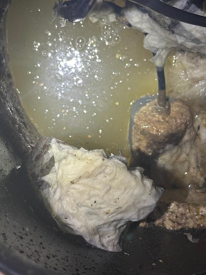 Images Rooter Man Hawaii