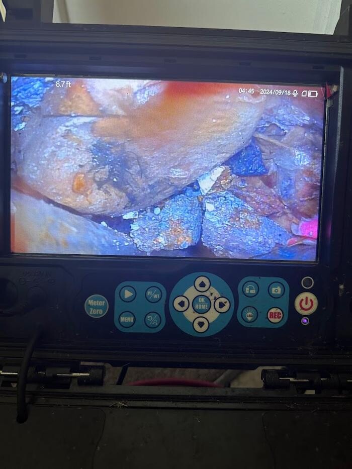 Images Rooter Man Hawaii