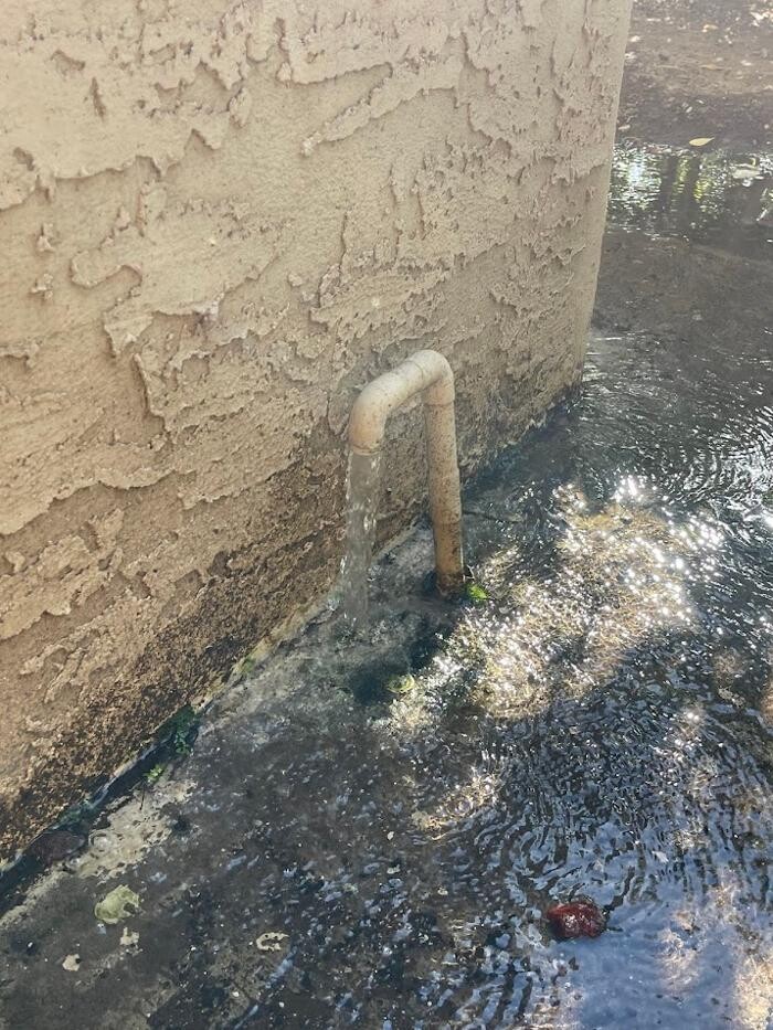 Images Rooter Man Hawaii