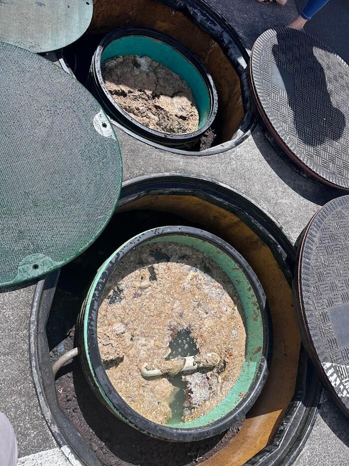 Images Rooter Man Hawaii