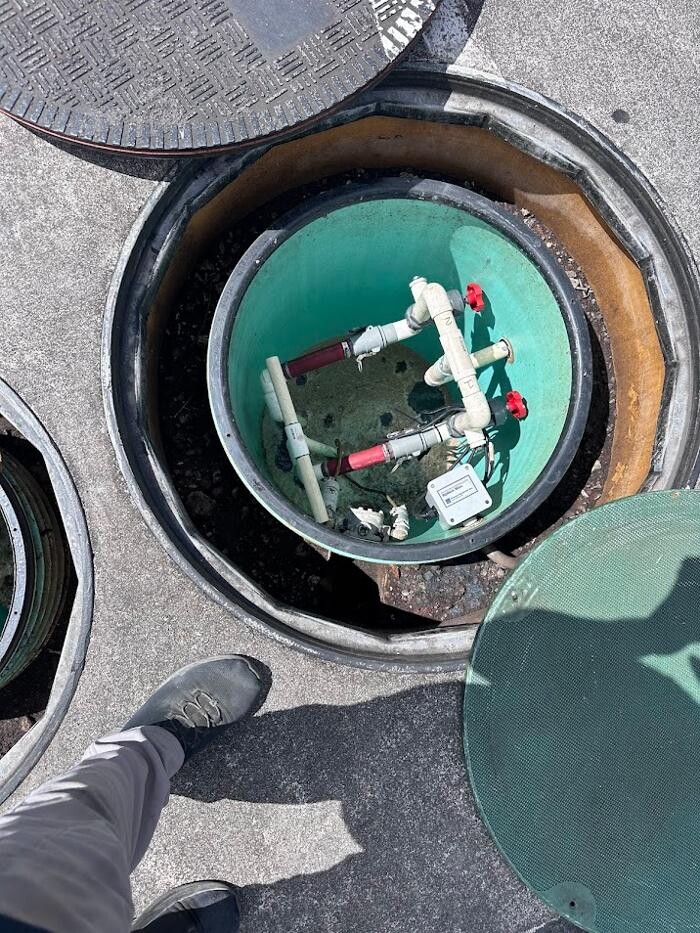 Images Rooter Man Hawaii