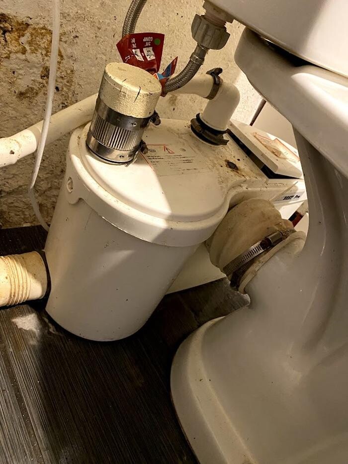 Images Rooter Man Hawaii