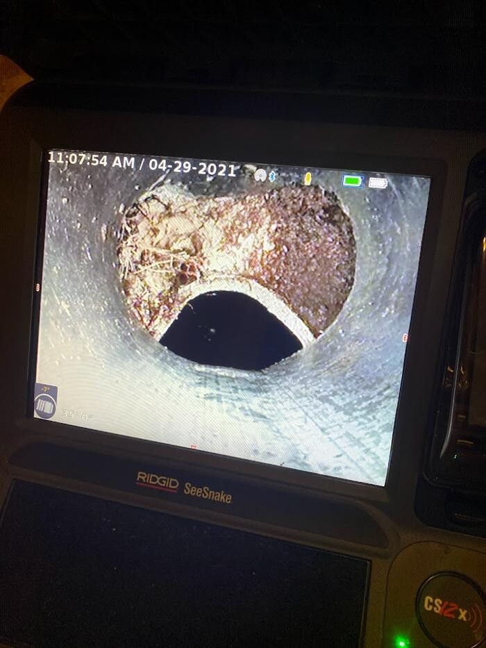 Images Rooter Man Hawaii