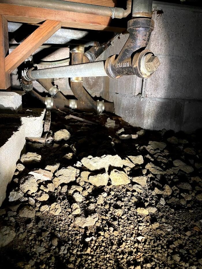 Images Rooter Man Hawaii